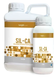 ta_packing_1L_5L_sil_ca