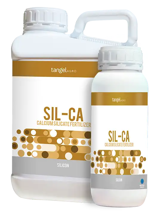ta_packing_1L_5L_sil_ca