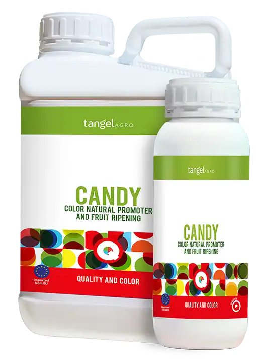 CANDY