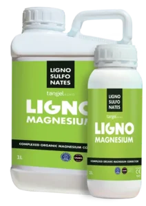 Ligno Mg