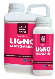 Ligno Mn