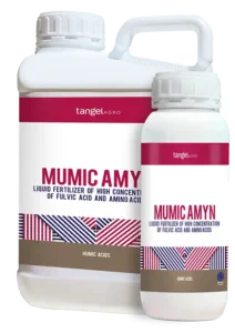 MUMIC AMYN