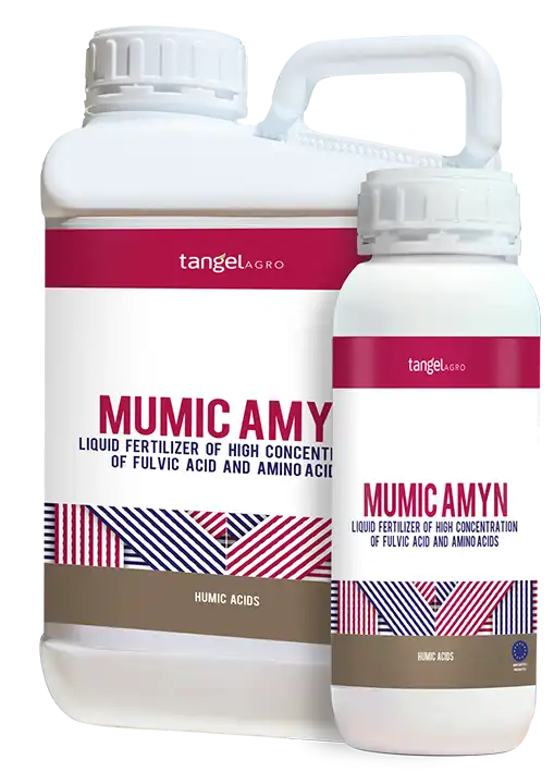MUMIC AMYN