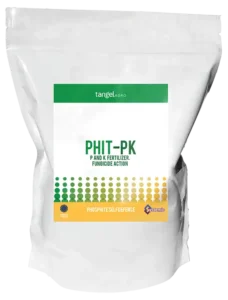 PHIT PK
