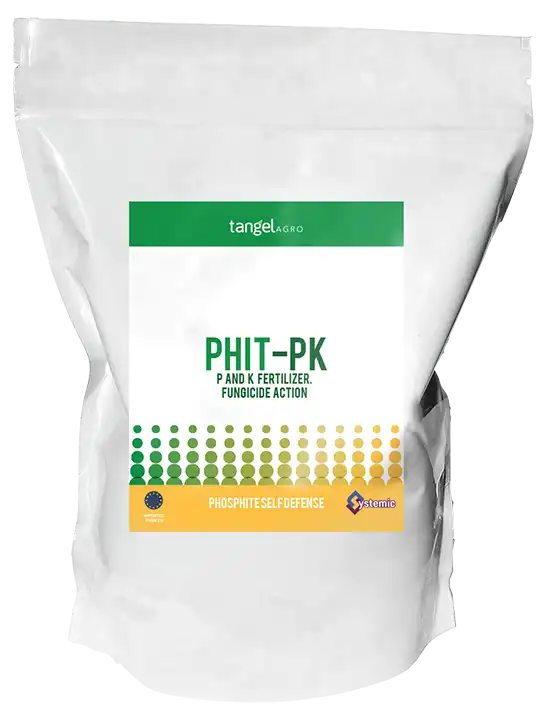 PHIT PK