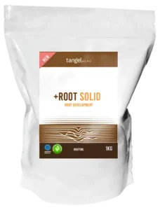 +ROOT SOLID