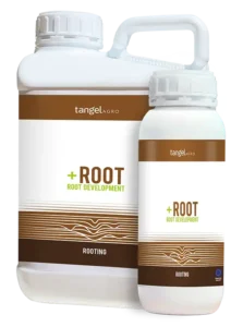 +root