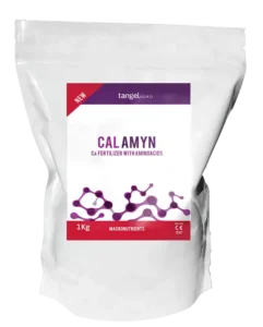 CAL AMYN