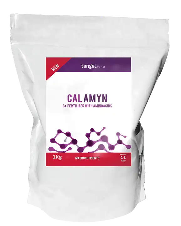 CAL AMYN