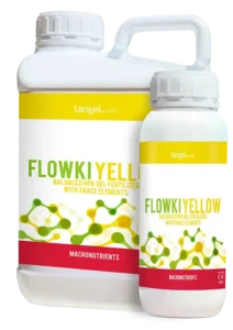 FLOWKI YELLOW