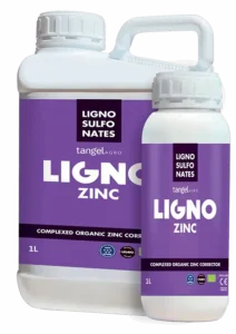 ligno zn