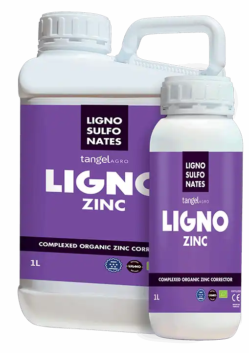 ligno zn