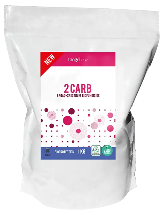 2 CARB