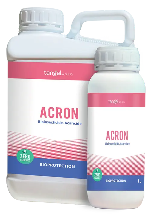 ACRON