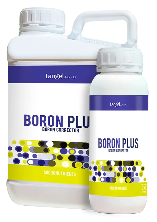 BORON PLUS