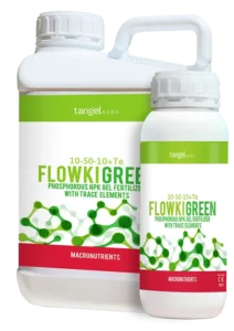 FLOWKI GREEN