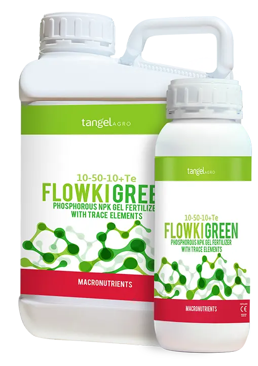 FLOWKI GREEN