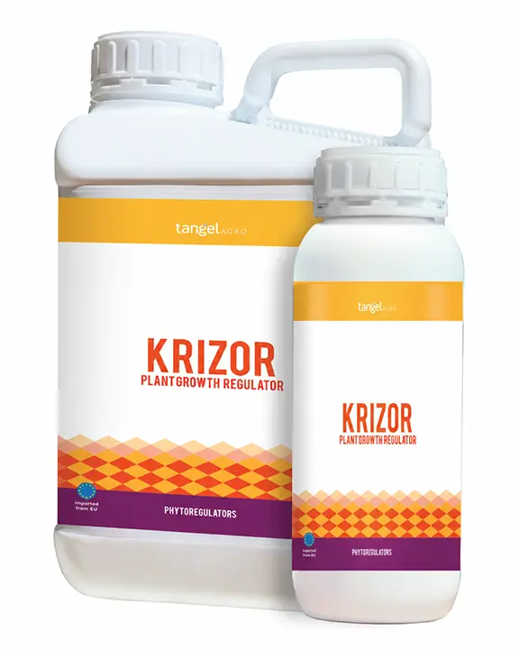 KRIZOR