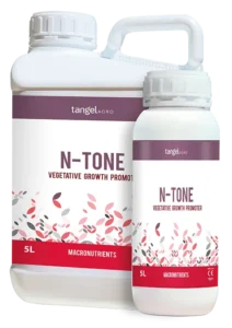N TONE