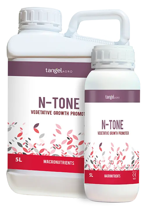 N-TONE