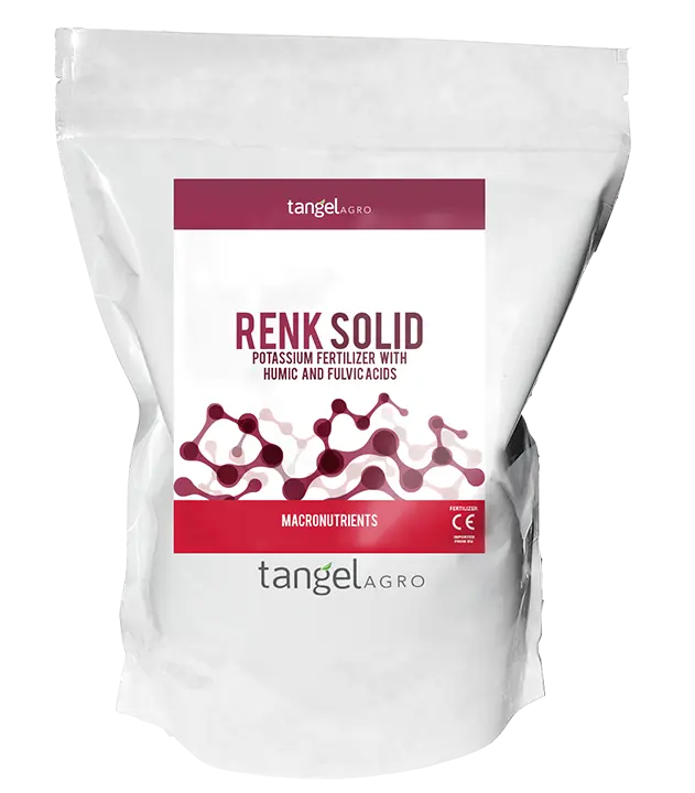 RENK SOLID