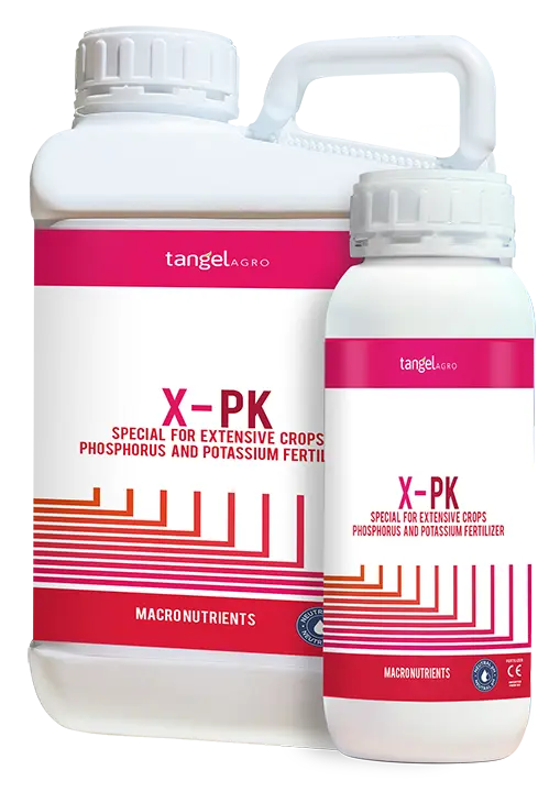 X-PK