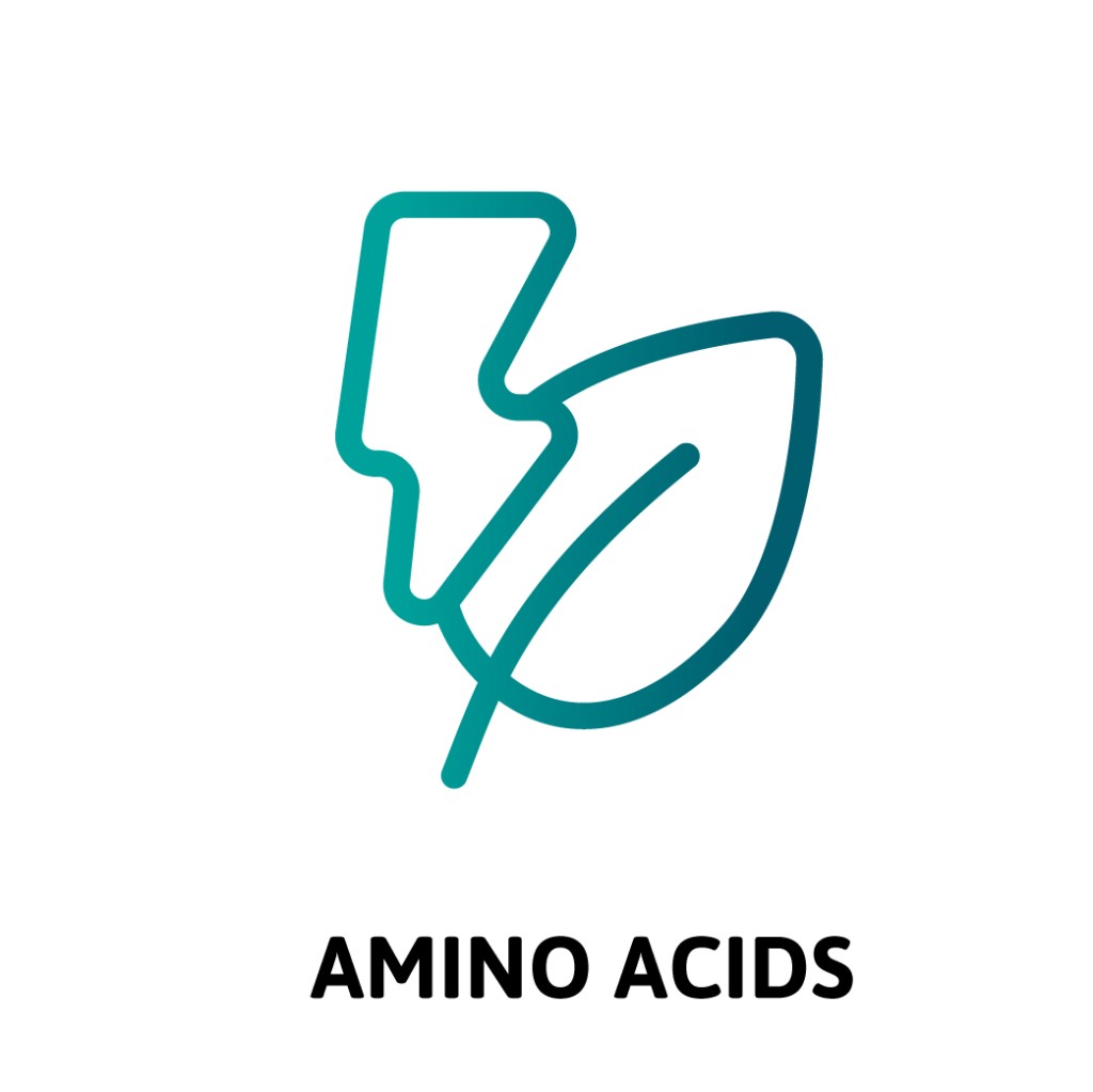 Amino Acids