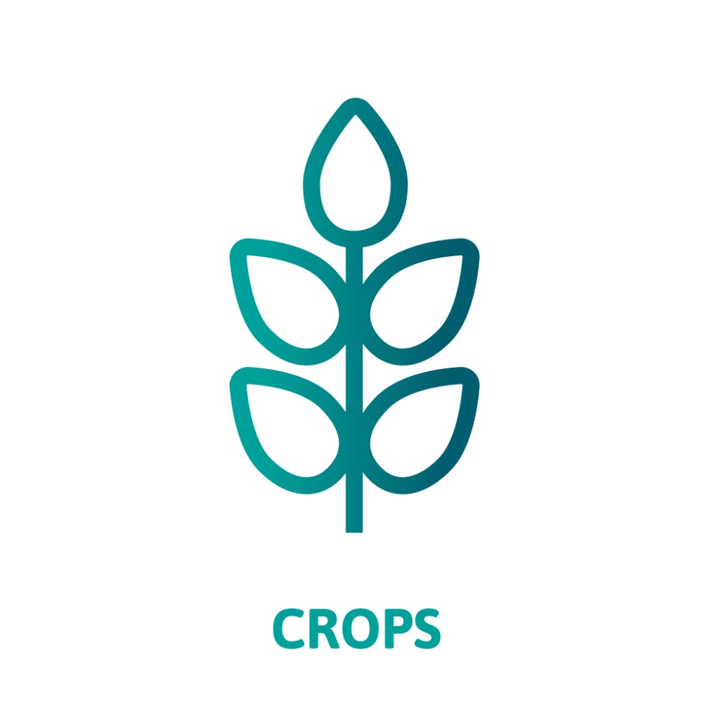 Crops