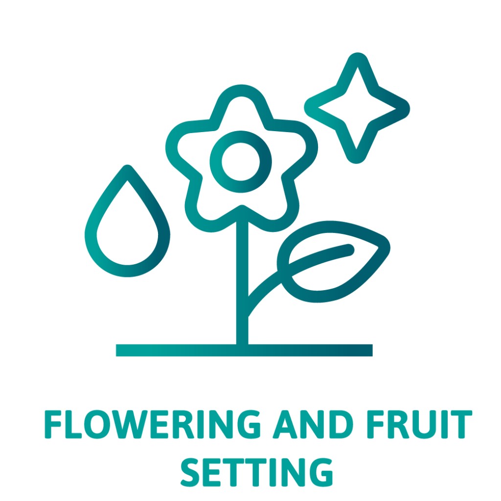 Flowering and fruit setting