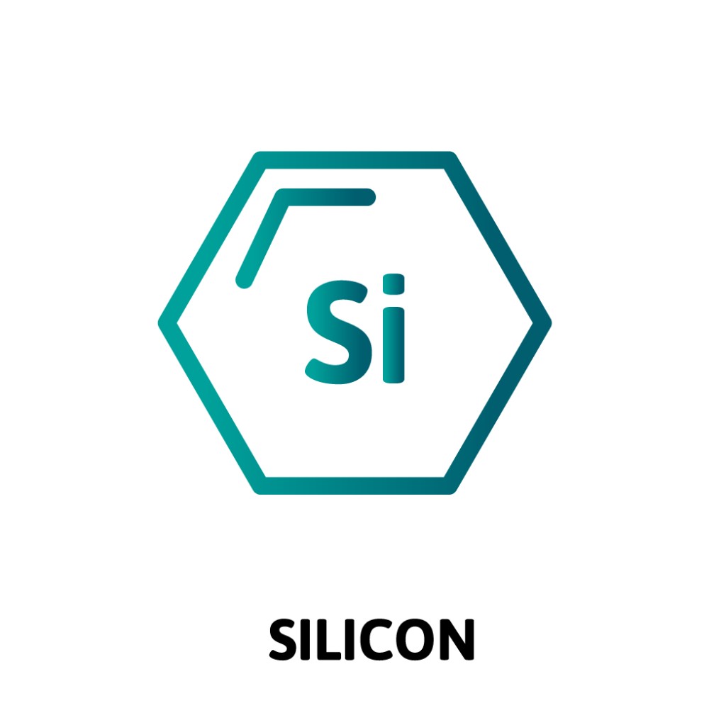 Silicon
