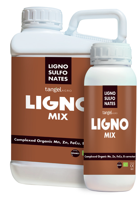 ligno