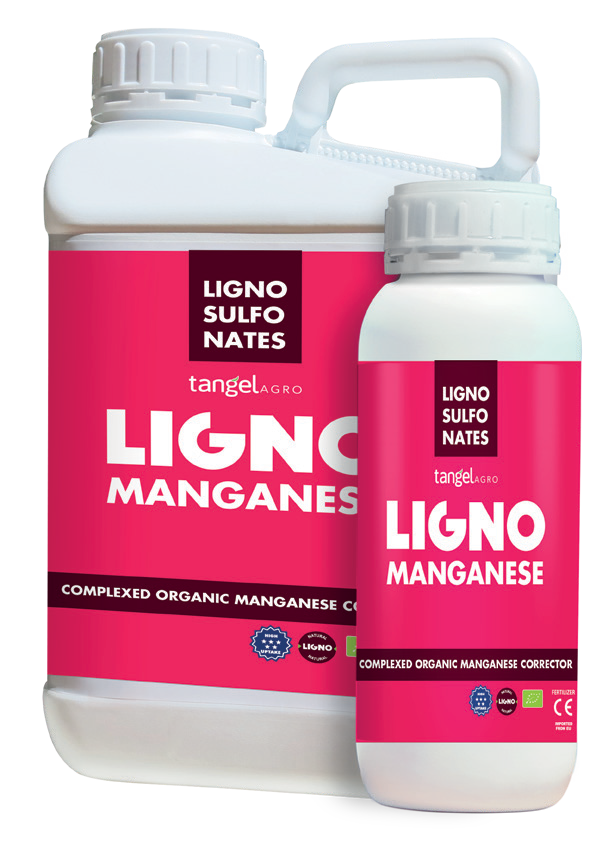 ligno mn