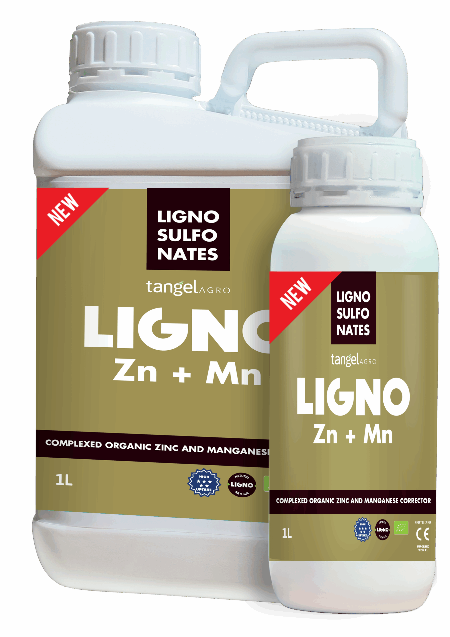 ligno zn mn scaled 1