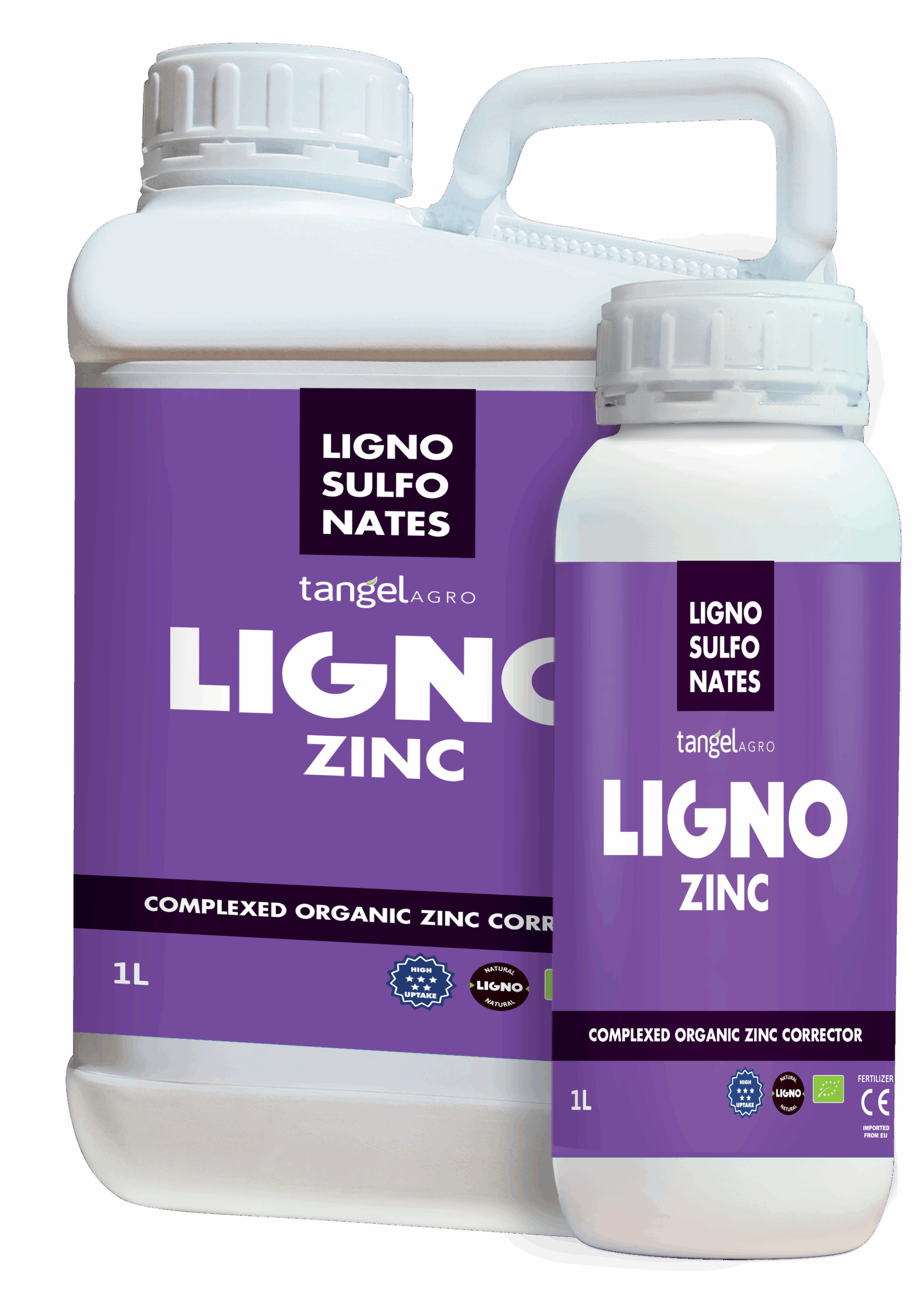 ligno zn scaled 1