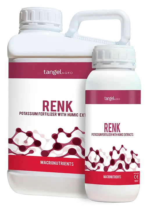 RENK
