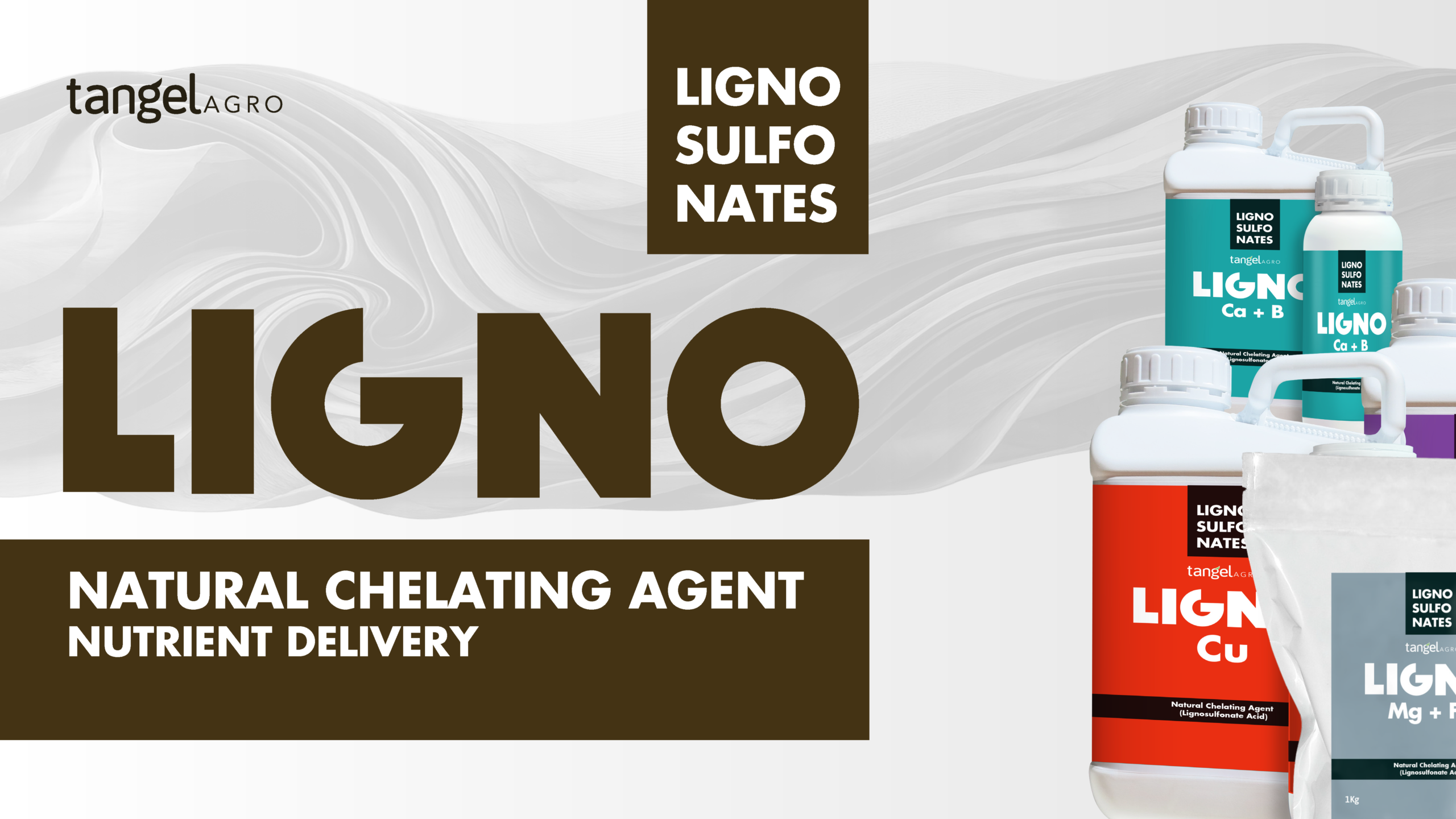 Lignosulfonates brochure cover
