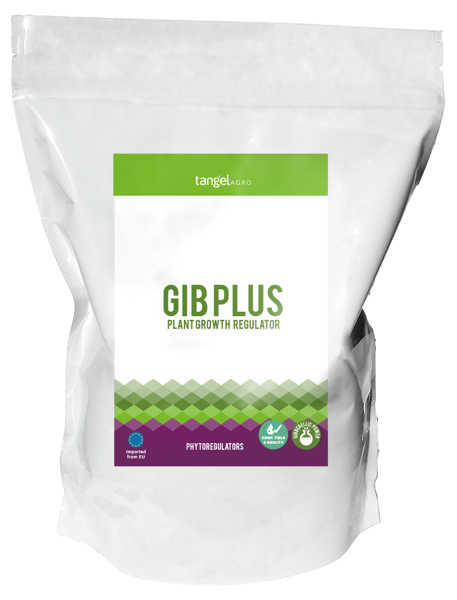 ta packing bolsa 1Kg gib plus