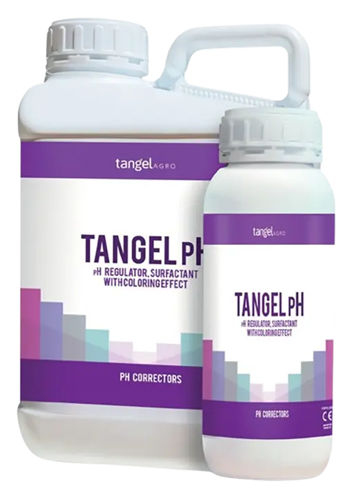 Tangel Ph