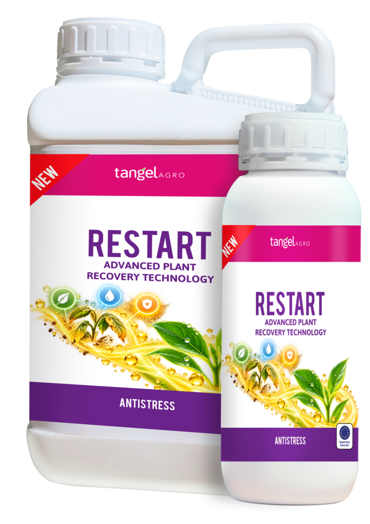 RESTART packing 1L 5L