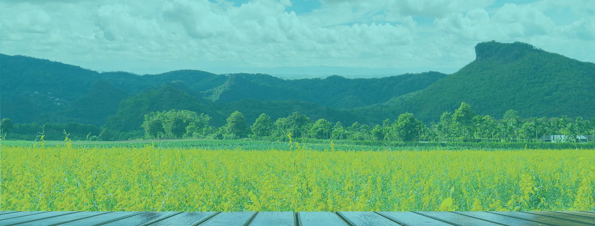 home footer banner 1